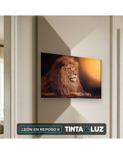 LEÓN EN REPOSO II