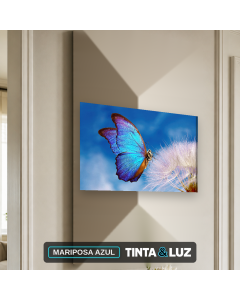 MARIPOSA AZUL