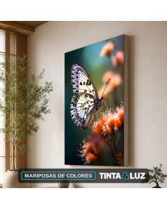 MARIPOSAS DE COLORES