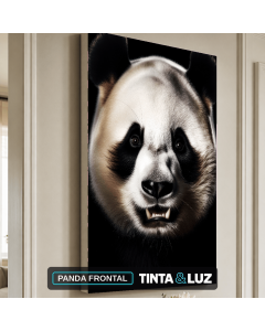 PANDA FRONTAL