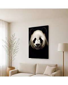 PANDA EN LA SOMBRA