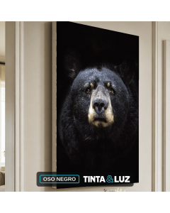 OSO NEGRO