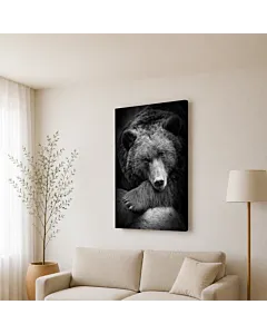OSO PARDO B&N II