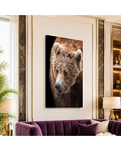 OSO PARDO RETRATO