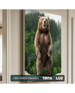 OSO PARDO ERGUIDO