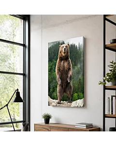 OSO PARDO ERGUIDO