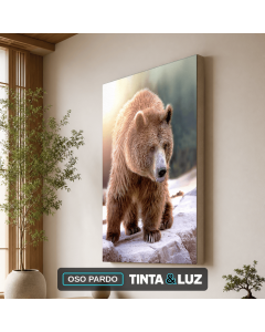 OSO PARDO