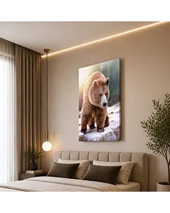 OSO PARDO