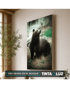OSO NEGRO EN EL BOSQUE