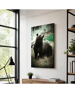 OSO NEGRO EN EL BOSQUE