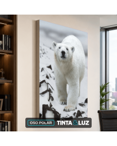 OSO POLAR
