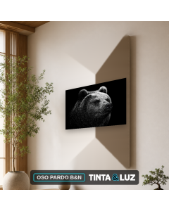 OSO PARDO B&N
