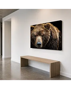 OSO PARDO RETRATO