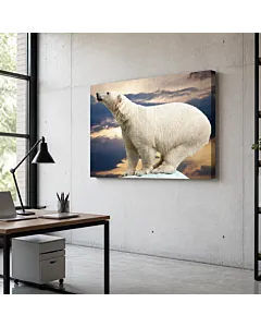 OSO POLAR EN EL HIELO