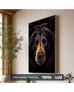 OSO PARDO FRONTAL
