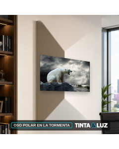 OSO POLAR EN LA TORMENTA