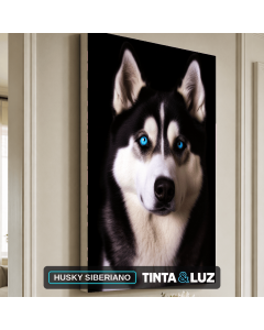 HUSKY SIBERIANO