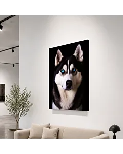 HUSKY SIBERIANO