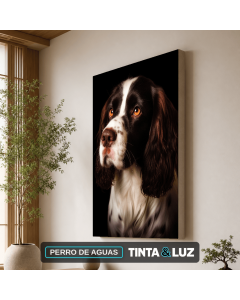 PERRO DE AGUAS