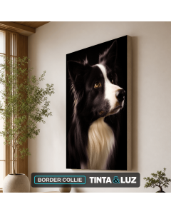 BORDER COLLIE