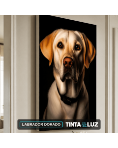 LABRADOR DORADO