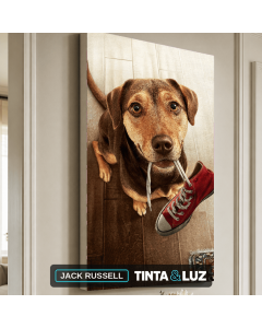 JACK RUSSELL
