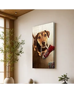 JACK RUSSELL