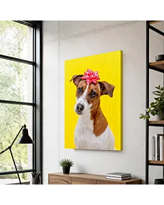 JACK RUSSELL Y MOÑO
