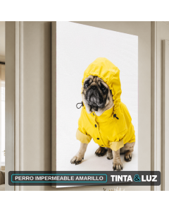 PERRO IMPERMEABLE AMARILLO