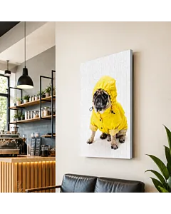 PERRO IMPERMEABLE AMARILLO