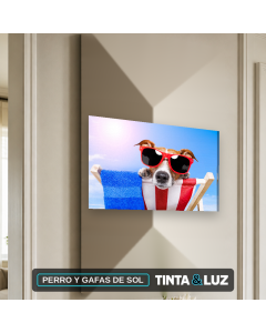 PERRO Y GAFAS DE SOL