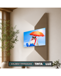 GOLDEN Y PARAGUAS