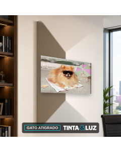 GATO ATIGRADO