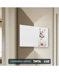CACHORROS JUNTOS