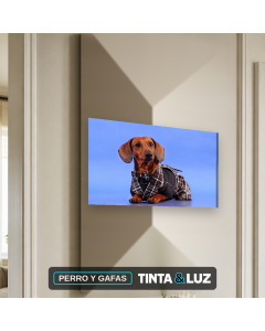 PERRO Y GAFAS