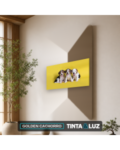 GOLDEN CACHORRO