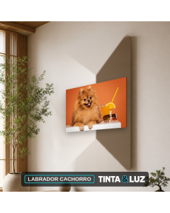 LABRADOR CACHORRO