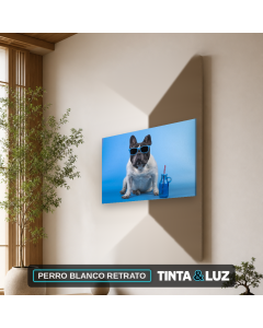 PERRO BLANCO RETRATO