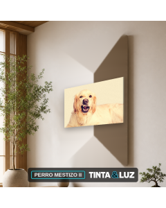 PERRO MESTIZO II