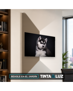 BEAGLE EN EL JARDÍN