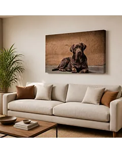 CACHORRO EN EL CÉSPED