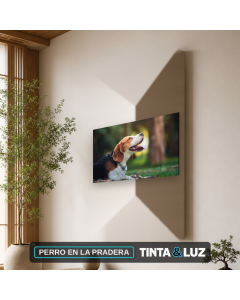 PERRO EN LA PRADERA