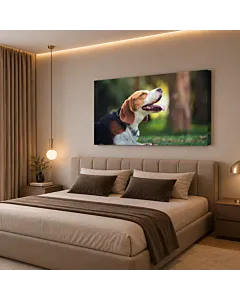 PERRO EN LA PRADERA
