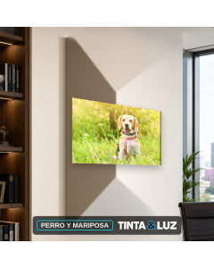PERRO Y MARIPOSA