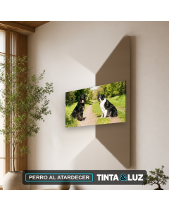 PERRO AL ATARDECER