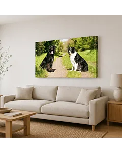 PERRO AL ATARDECER