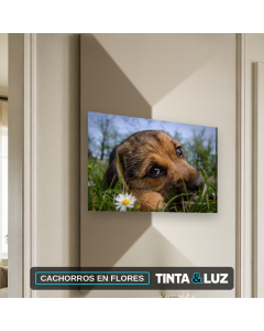 CACHORROS EN FLORES