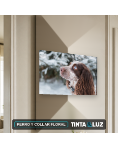 PERRO Y COLLAR FLORAL