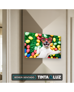 BÓXER SENTADO