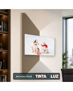 BICHÓN FRISÉ